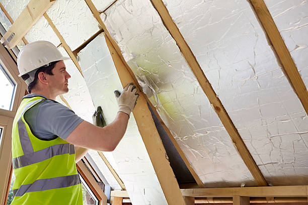 Best Insulation Maintenance and Repair in Goldsboro, NC